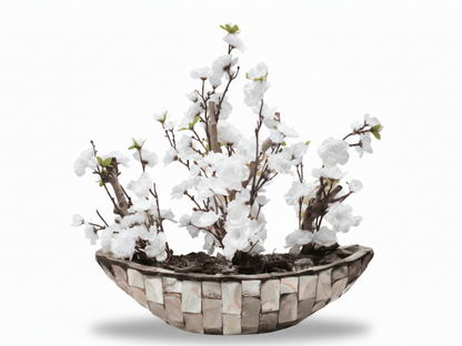 Frühlingsblume in Deko-Schale